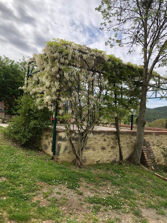 Maremma Toscana Podere Poggiarelli Campagnatico
