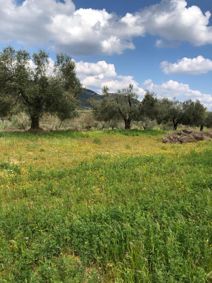 Maremma Toscana Podere Poggiarelli * Campagnatico