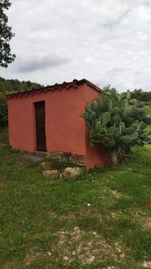 Maremma Toscana Podere Poggiarelli Apartamento *
