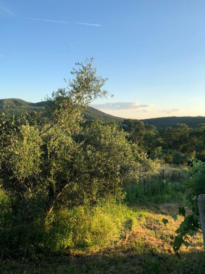 Maremma Toscana Podere Poggiarelli *